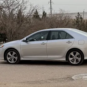 18 Диски на Палта