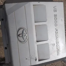 avalon mator kryşkasy