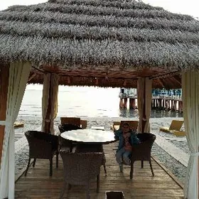 Высокопотолочка срочно