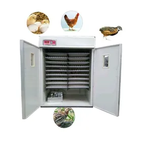 inkubatra ýumurtga goýýas