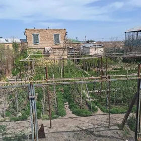 Дача Аэропорт