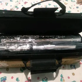 fleyta. флейта