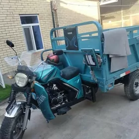 Fekon FK200-14G 2024