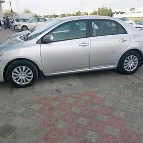 Toyota Corolla 2011