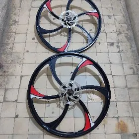 Diska BMW welisipedyky