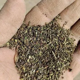 atgulak hasal otlan̈ tohumy