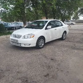 Toyota Corolla 2004