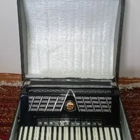 Akardion ROYALSTANDARD