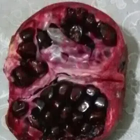 nar bidane şitil nahal гранат