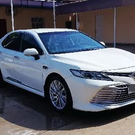 Toyota Camry 2019