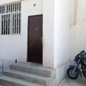 satlyk jaysatlyk jay