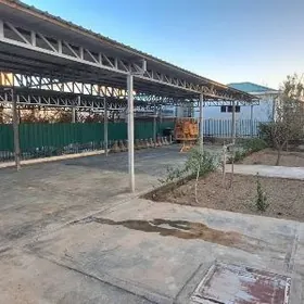 Arenda Anev kotej 5kom