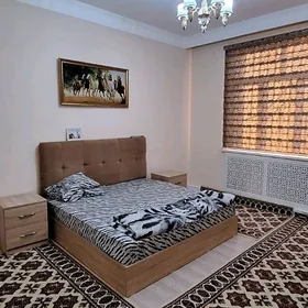 Anew Ahal koce koteź 5 kom