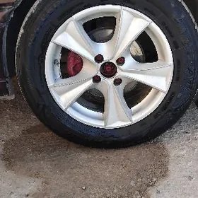 15 lik yaprak disga  balon