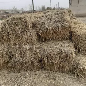 лазер саман бор 145 кип