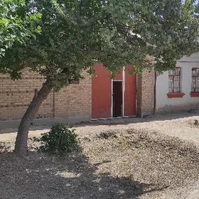 Arenda (Kwartırant Gerek)