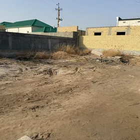 Satlyk   Mellek  10- yillyk