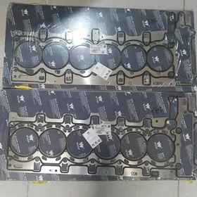 bmw n54 n55 proklatga