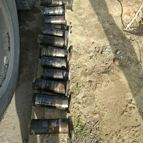 Jisbi tyrakdr paluslari