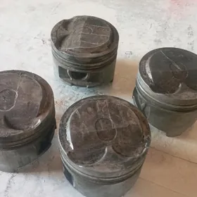 1.з каролла поршен