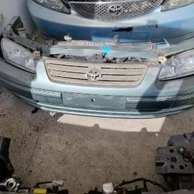 BABYCGA KELTE MORDA CAMRY