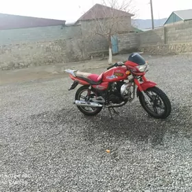 Fekon FK200-14G 2016