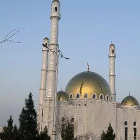 Arenda jay mir 7 2kom