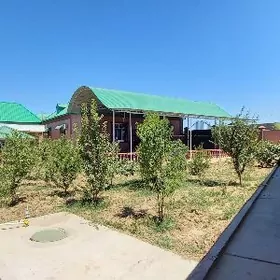 Багир Bagyr Mirewe Plan jaÿ