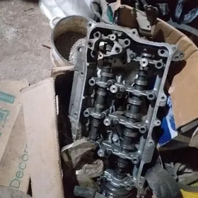 респред ванус