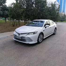 Toyota Camry 2019