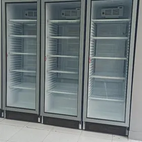 Ugyr Vitrina holodinnik