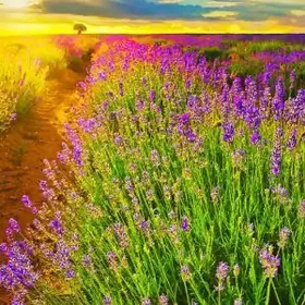 Нужны девушки и парни