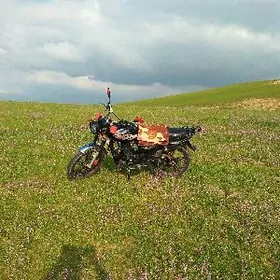 Fekon FK200-14G 2026