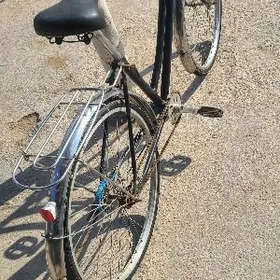 tigir.welosepet.kama.welik.