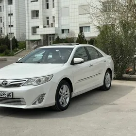 Toyota Camry 2014