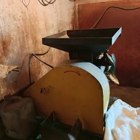 mini zawot yağ onduryan