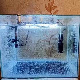 Akwarium Аквариум