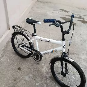 BRAWERY RAZMER 20 LIK