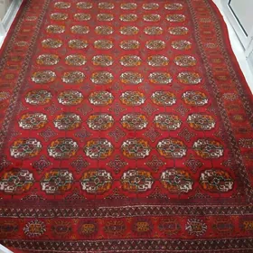 халы бюзмеин