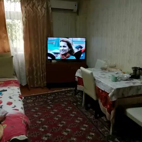 SATLYK JAÝ.SENTR ALYŞER NOWAÝY