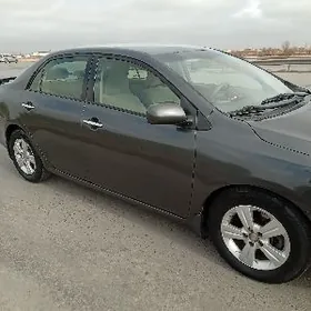 Toyota Corolla 2010