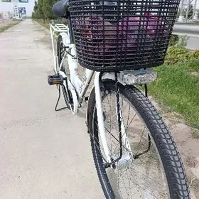 26,5 yogyn pakryşka velik yapo