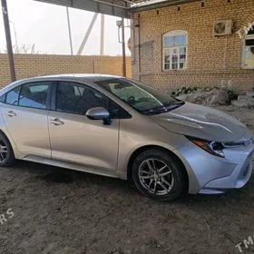 Toyota Corolla 2021