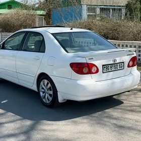 Toyota Corolla 2007
