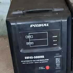 Pitbul tok kôpeltýän