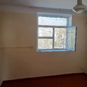 ️209 ARENDA JAY EYESINDEN️