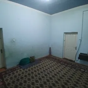 SATLYK HOWLY 16 SOTKA