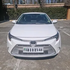 Toyota Corolla 2024