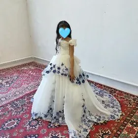 галин койнек