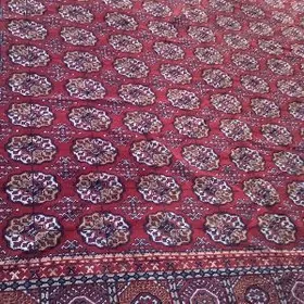 германский юн халы